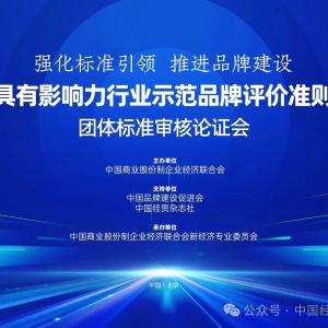 以标準化(huà)引領高(gāo)質量發展——《具有影(yǐng)響力行業示範品牌評價準則》團體标準審核論證會将